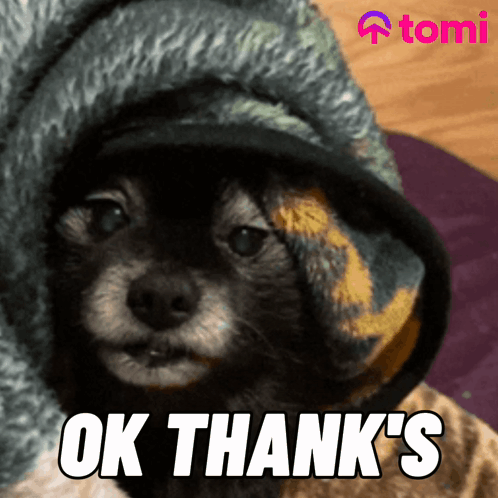 Funny Dog Meme Wink GIF