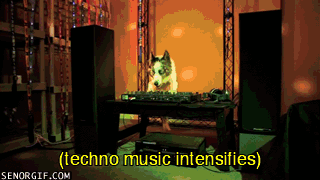 Funny Dogs Rave Party Time GIF