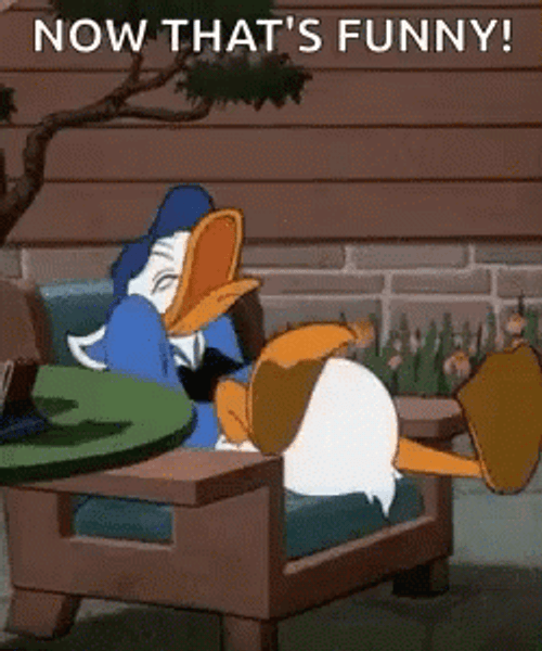 Funny Donald Duck Hilarious GIF 