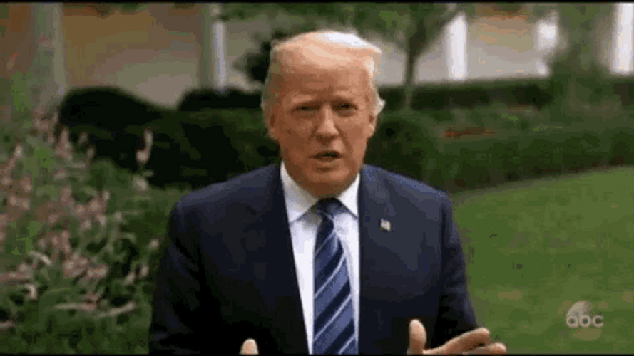 Funny Donald Trump Explaining Hair Gone GIF