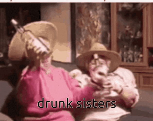 Funny Drunk Sisters GIF