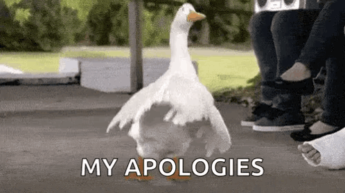 Funny Duck Apologetic Dancing Meme GIF