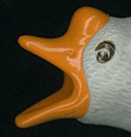 Funny Duck Blah Blah Blah GIF
