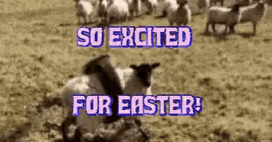 Funny Easter So Excited Sheep GIF