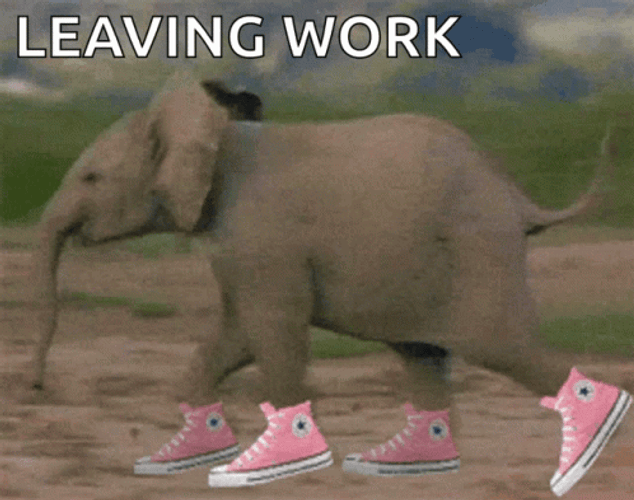 Funny Elephant Leaving Work GIF