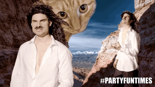 Funny Fabio Lanzoni Spoof Flula Borg GIF