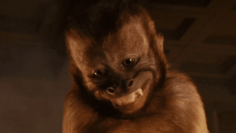 Funny Face Laughing Cute Monkey GIF