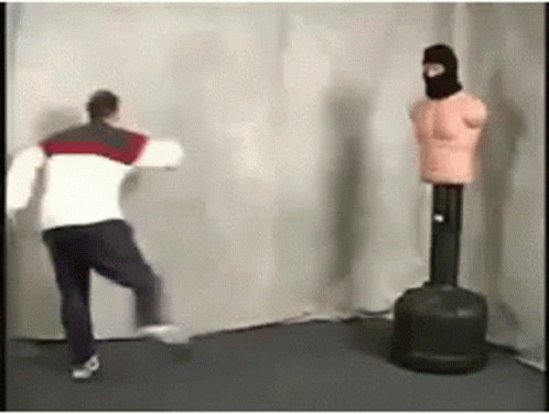 Funny Fighting Kung Fu Fail GIF