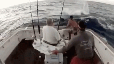 Funny Fishing Sword Fish Attack GIF