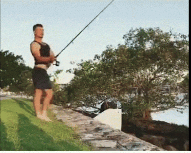 Funny Fishing For Attention GIF