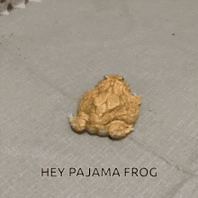 Funny Frog Twerking GIF