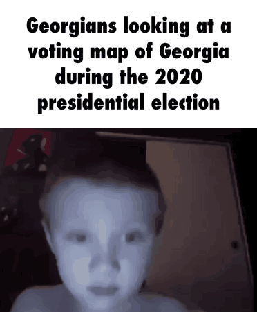 Funny Georgia Election Meme GIF