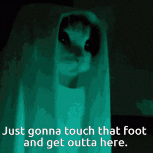 Funny Ghost Cat You Gonna Touch That Foot GIF