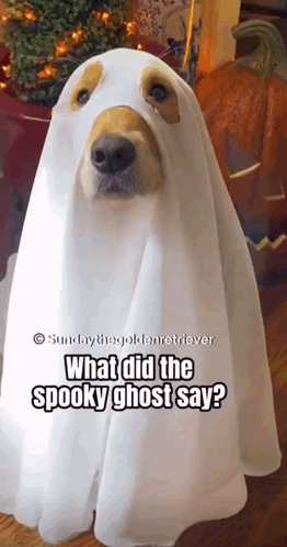 Funny Ghost Dog Roaring GIF