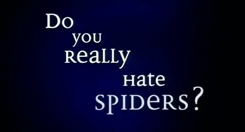 Funny Giant Spider Disturbing Goodnight GIF