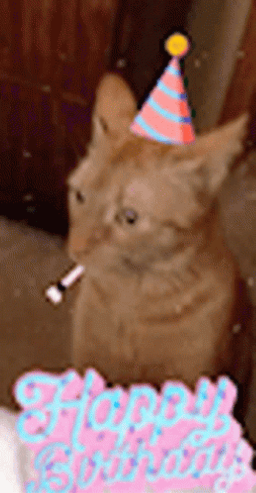 Funny Ginger Cat Birthday Party Horn GIF