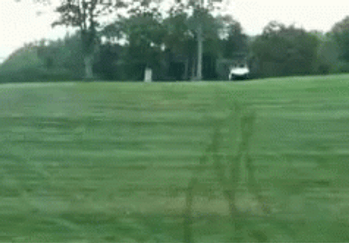 Funny Golf Cart Drifting GIF