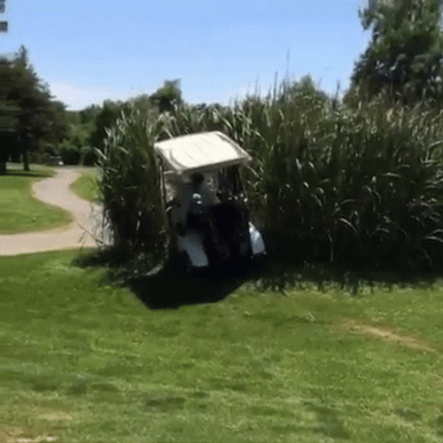 Funny Golf Cart Out Of Nowhere GIF