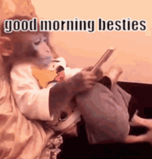 Funny Good Morning Besties Monkey Call GIF
