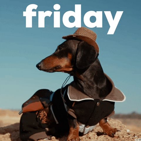 Funny Good Morning Happy Friday Cowboy Weiner GIF