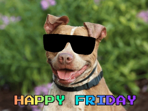 Funny Good Morning Happy Friday Dog Shades GIF