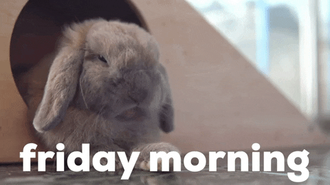 Funny Good Morning Happy Friday Drowsy Rabbit GIF
