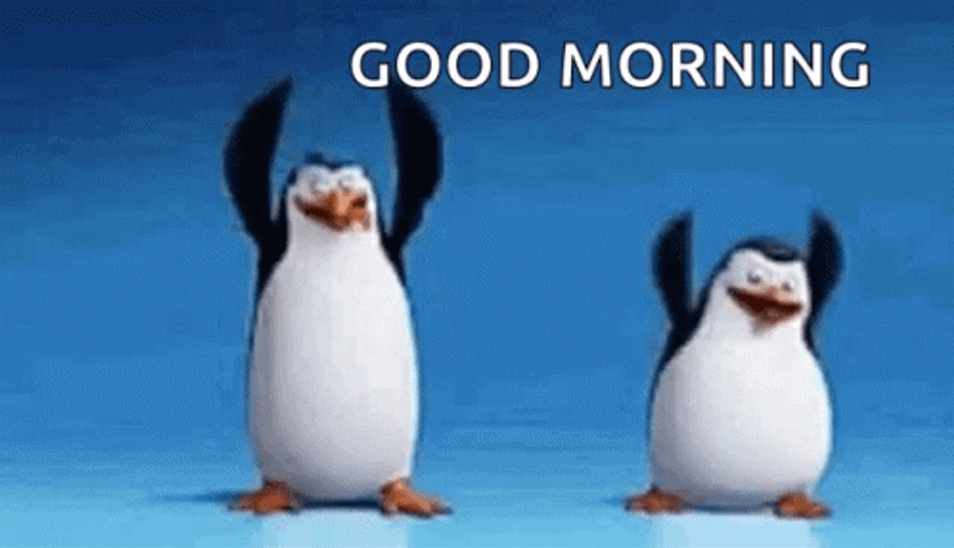 Funny Good Morning Penguin Dance GIF 