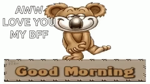 Funny Good Morning Wednesday Bear GIF