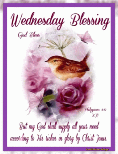 Funny Good Morning Wednesday Blessings GIF