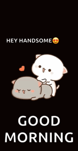 Funny Good Morning Wednesday Handsome GIF