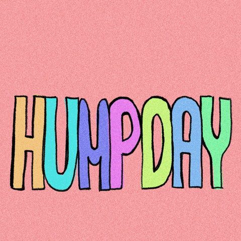 Funny Good Morning Wednesday Humpday GIF