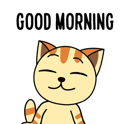 Funny Good Morning Wednesday Kitty GIF