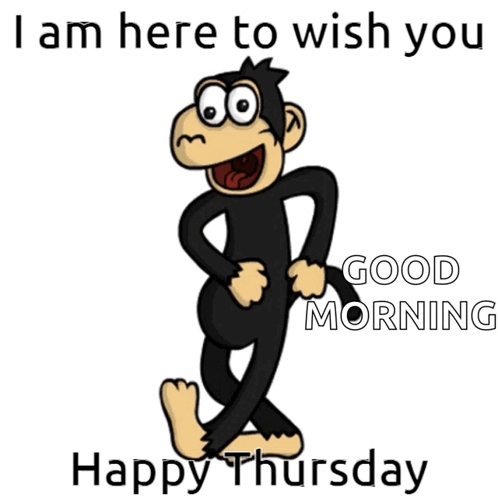 Funny Good Morning Wednesday Monkey GIF