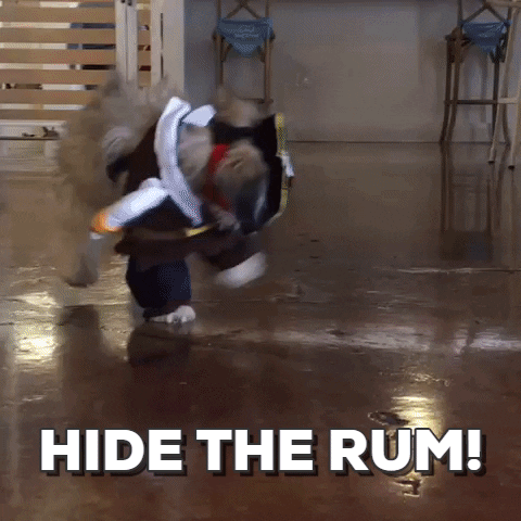 Funny Halloween Cute Puppy Pirate Hide The Rum GIF
