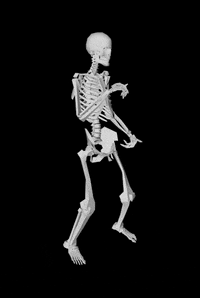 Funny Halloween Skeleton Dancing Twerking GIF
