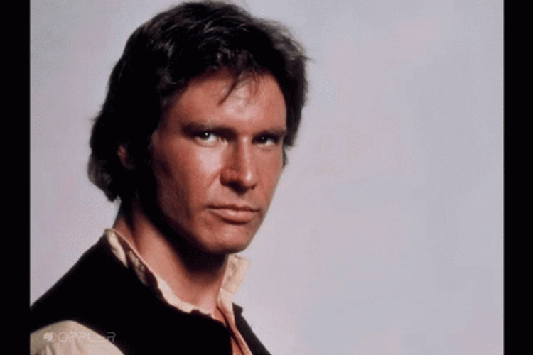 Funny Han Solo Holding Card GIF