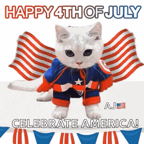 Funny Happy 4th Of July Celebrate America GIF