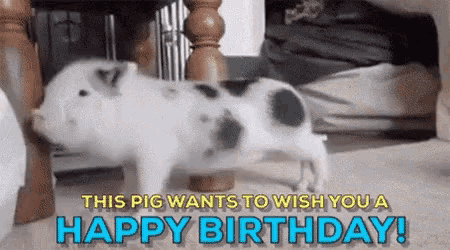 Funny Happy Birthday Piggy Dance GIF