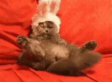 Funny Happy Easter Cat Waggling Tail GIF
