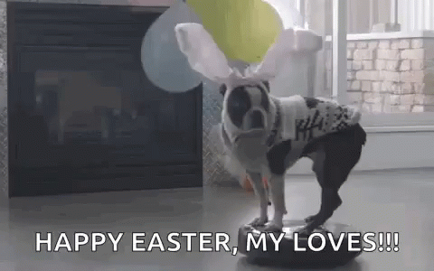 Funny Happy Easter Dog On Vacuum GIF