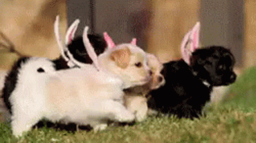 Funny Happy Easter Fairy Puppies GIF