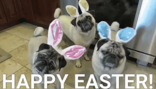Funny Happy Easter Pug Dogs GIF
