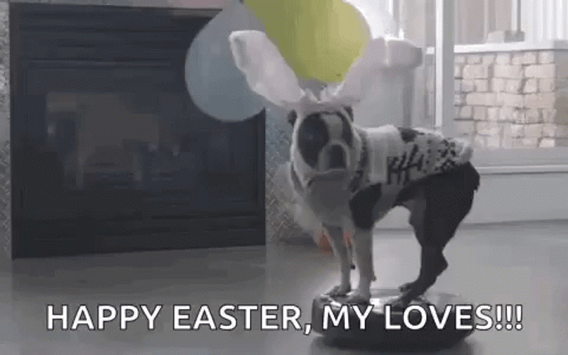 Funny Happy Easter Dog On Vacuum GIF
