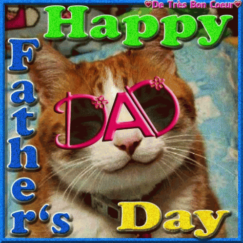 Funny Happy Fathers Day Cat GIF