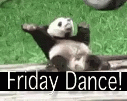 Funny Happy Friday Bear Dance GIF