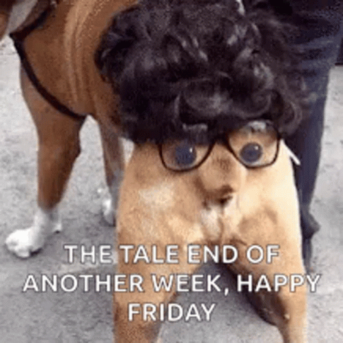 Funny Happy Friday Dog Tail GIF