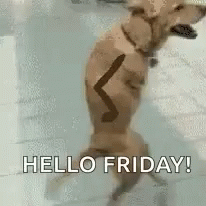 Funny Happy Friday Doggy Dance GIF
