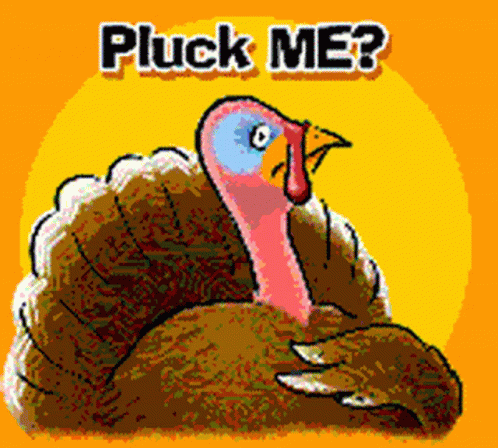 Funny Happy Thanksgiving Pluck Me GIF