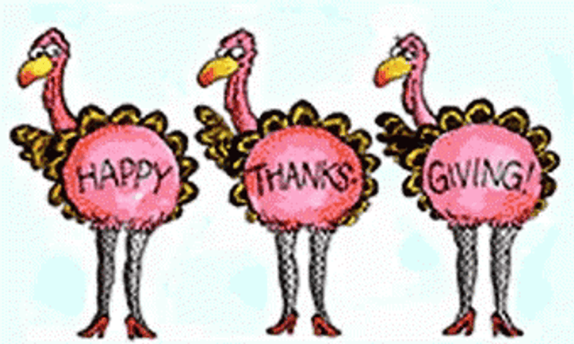 Funny Happy Thanksgiving Dancing Turkeys GIF