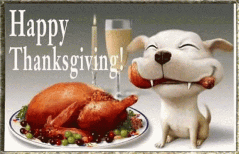 Funny Happy Thanksgiving Dog Eats Chicken GIF